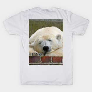 Polarbear20150501 T-Shirt